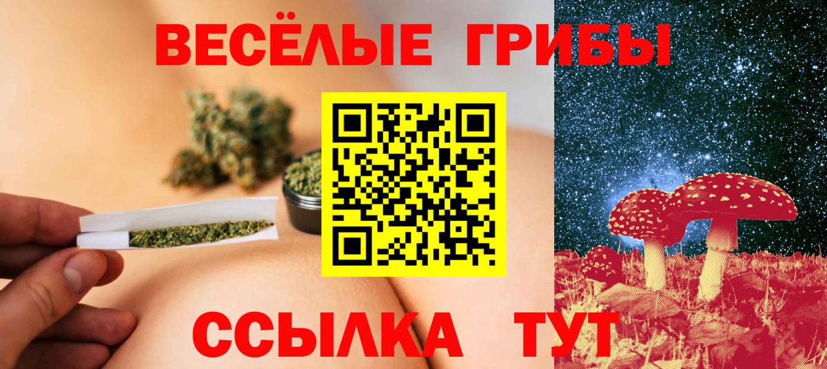купить наркотики цена  Вход с VPN  Рославль  Псилоцибиновые грибы Psilocybe 