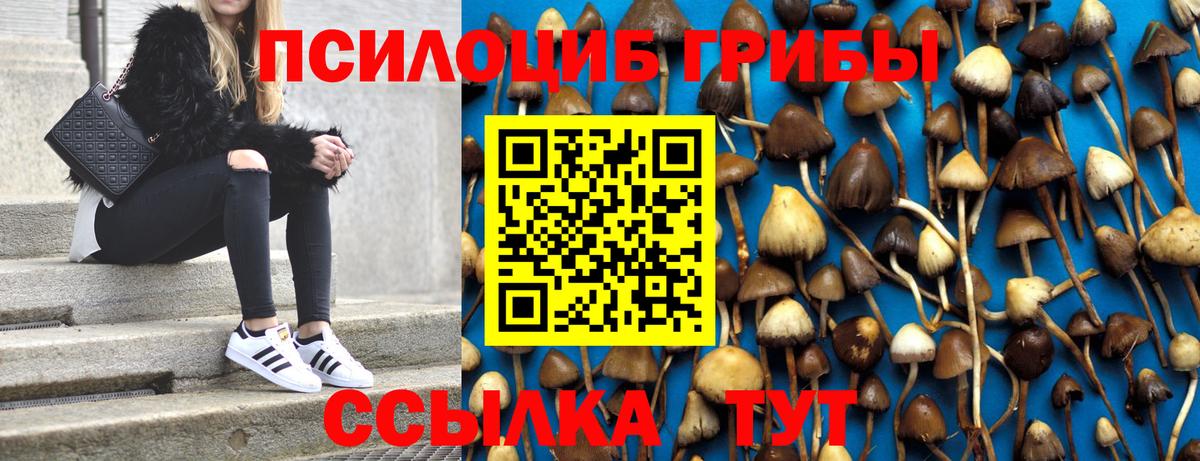 Псилоцибиновые грибы мицелий Рославль